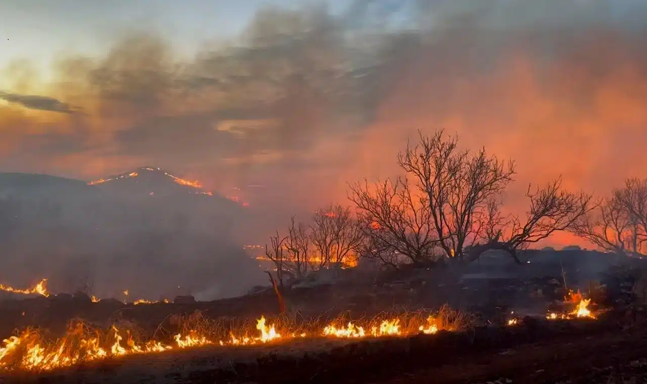 Devastating Wildfires in Texas One Dead Over 1 Million Acres Burned