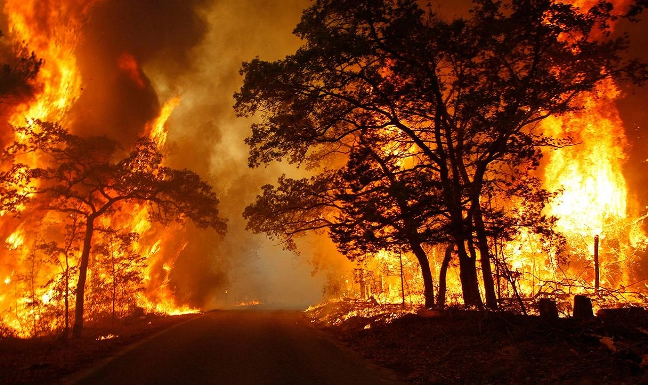 Texas Wildfires Rage On Largest Blaze Grows Hot Weather Fuels Concerns