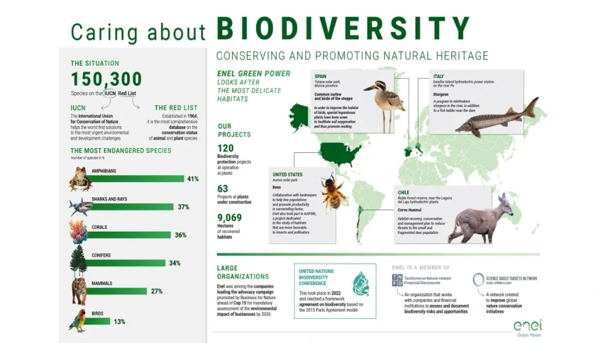 Biodiversity