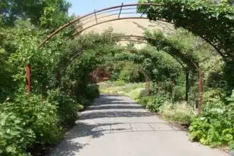 Red Butte Garden